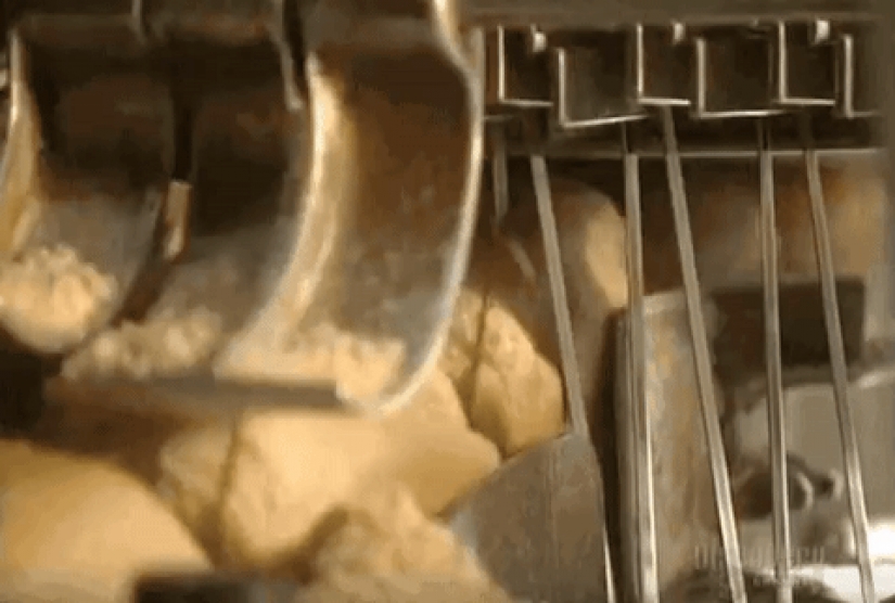 Hipnotizante y muy agradable buscando gifs acerca de cómo hacer que la comida