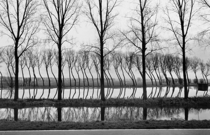 History textbook Marc Ribot