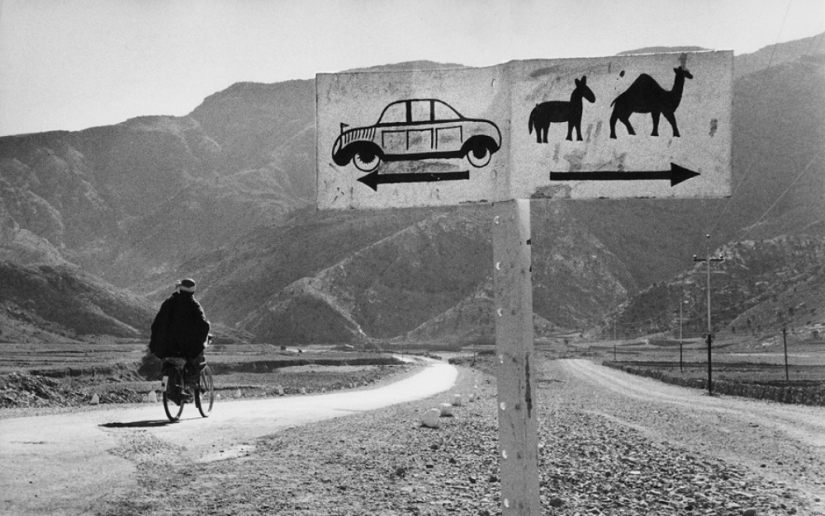 History textbook Marc Ribot