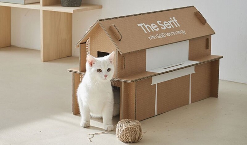 How box Samsung TV from which you can make a cat house