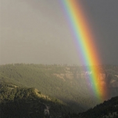 How the world looks through the eyes of a colorblind