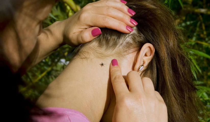 How to escape from the ticks? Forewarned is forearmed How to escape from the ticks? Forewarned is forearmed