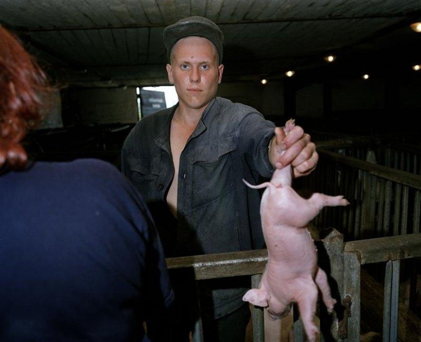 How to live young prisoners in Siberian labor camps How to live young prisoners in Siberian labor camps