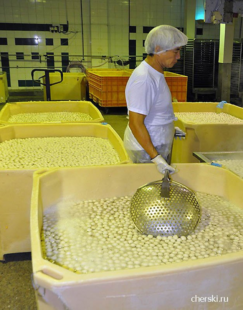 How to make fish balls, crab sticks, etc. How to make fish balls, crab sticks, etc.