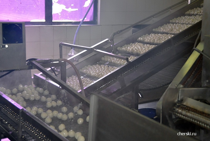 How to make fish balls, crab sticks, etc. How to make fish balls, crab sticks, etc.