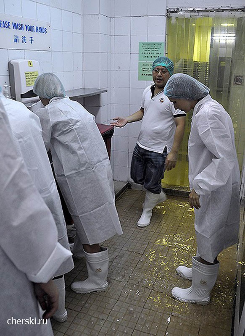 How to make fish balls, crab sticks, etc. How to make fish balls, crab sticks, etc.