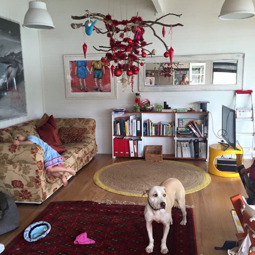 How to protect a Christmas tree from harmful and daring Pets How to protect a Christmas tree from harmful and daring Pets