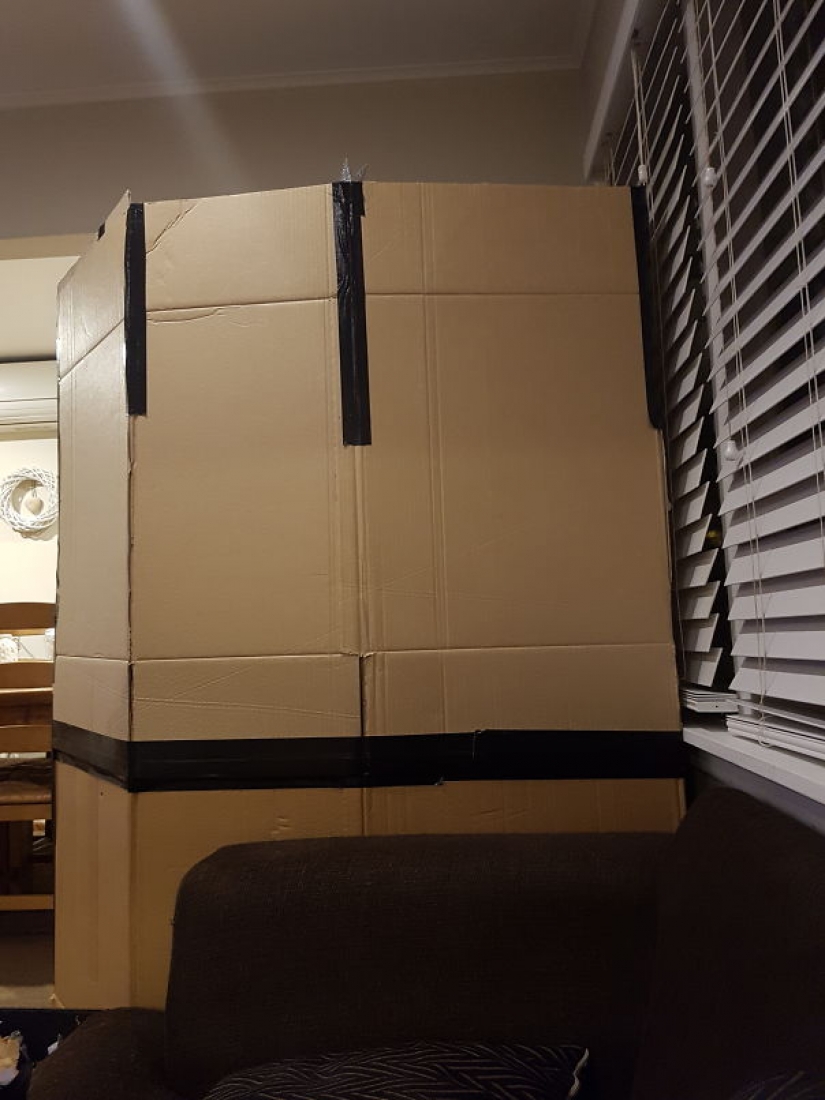 How to protect a Christmas tree from harmful and daring Pets How to protect a Christmas tree from harmful and daring Pets