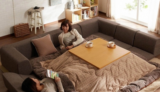 How to spend the winter, not getting out from under the blanket How to spend the winter, not getting out from under the blanket