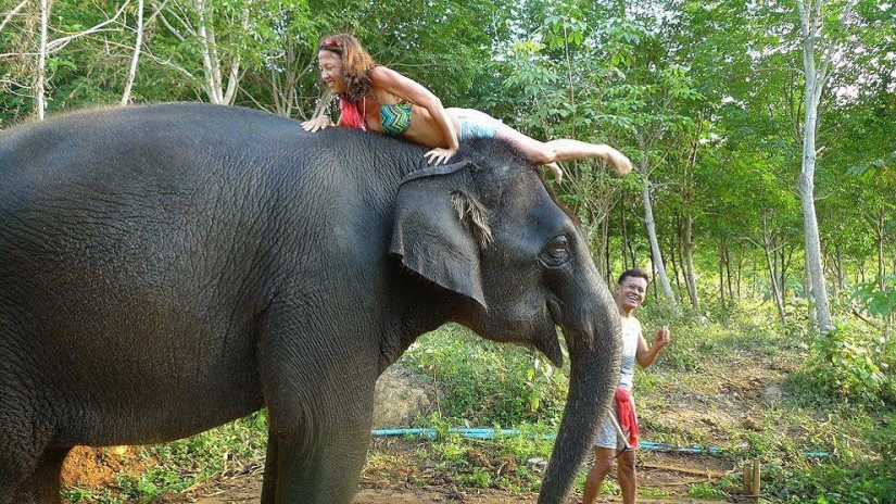 How to wash an elephant