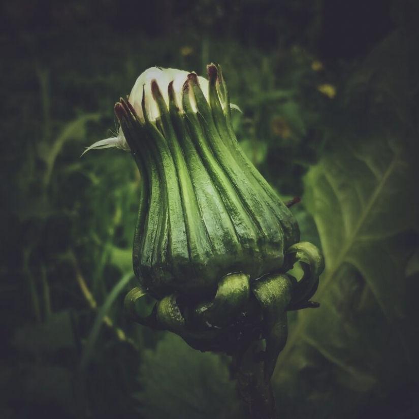 HUAWEI announces the results of the competition Next-2020 Image Awards in Russia