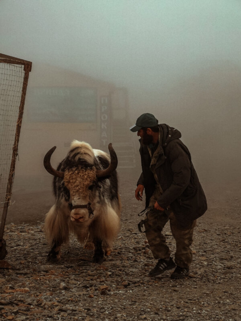 HUAWEI announces the results of the competition Next-2020 Image Awards in Russia