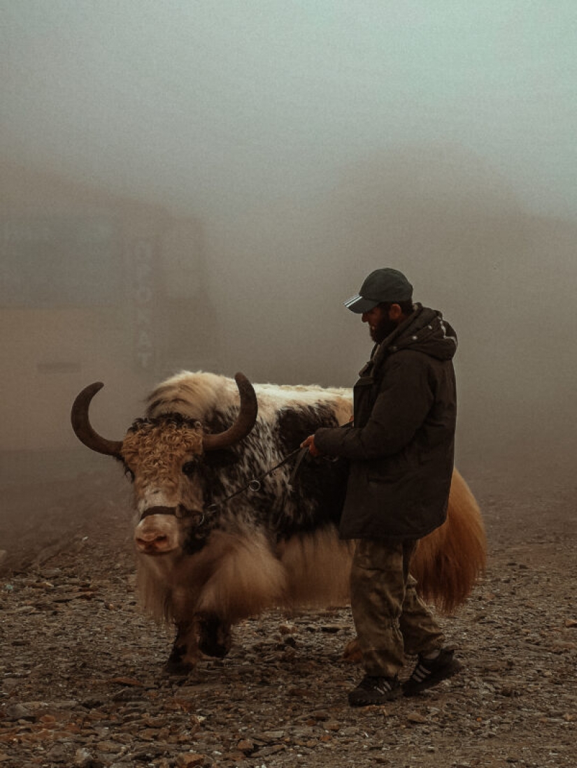 HUAWEI announces the results of the competition Next-2020 Image Awards in Russia