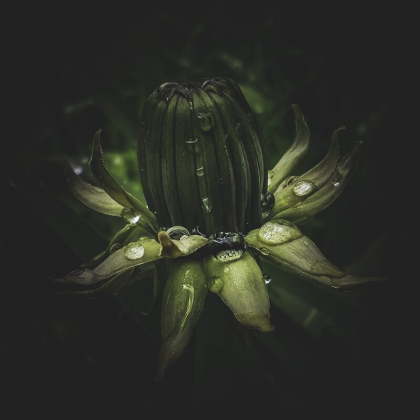 HUAWEI anuncia los resultados de la competición de la Próxima 2020 Imagen de Premios en Rusia