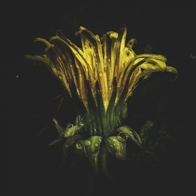 HUAWEI anuncia los resultados de la competición de la Próxima 2020 Imagen de Premios en Rusia