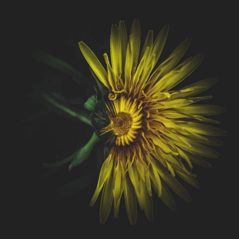 HUAWEI anuncia los resultados de la competición de la Próxima 2020 Imagen de Premios en Rusia