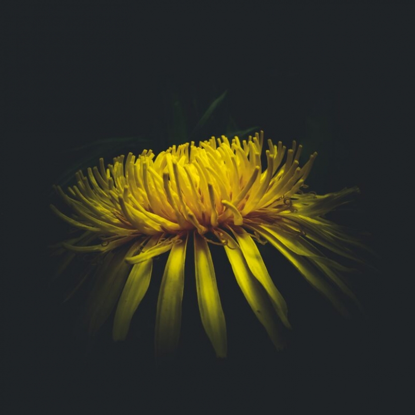 HUAWEI anuncia los resultados de la competición de la Próxima 2020 Imagen de Premios en Rusia