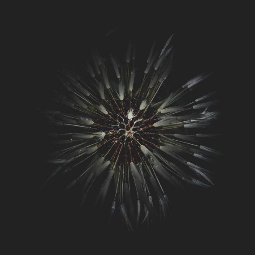 HUAWEI anuncia los resultados de la competición de la Próxima 2020 Imagen de Premios en Rusia