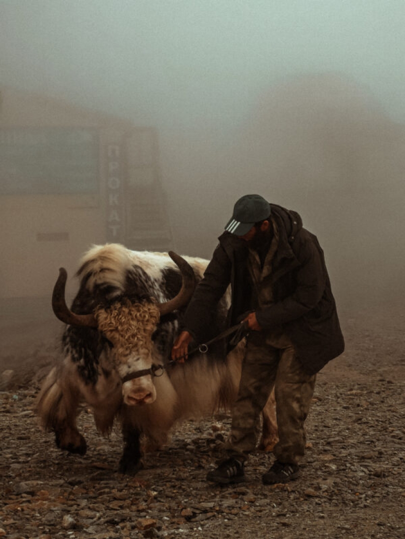 HUAWEI anuncia los resultados de la competición de la Próxima 2020 Imagen de Premios en Rusia