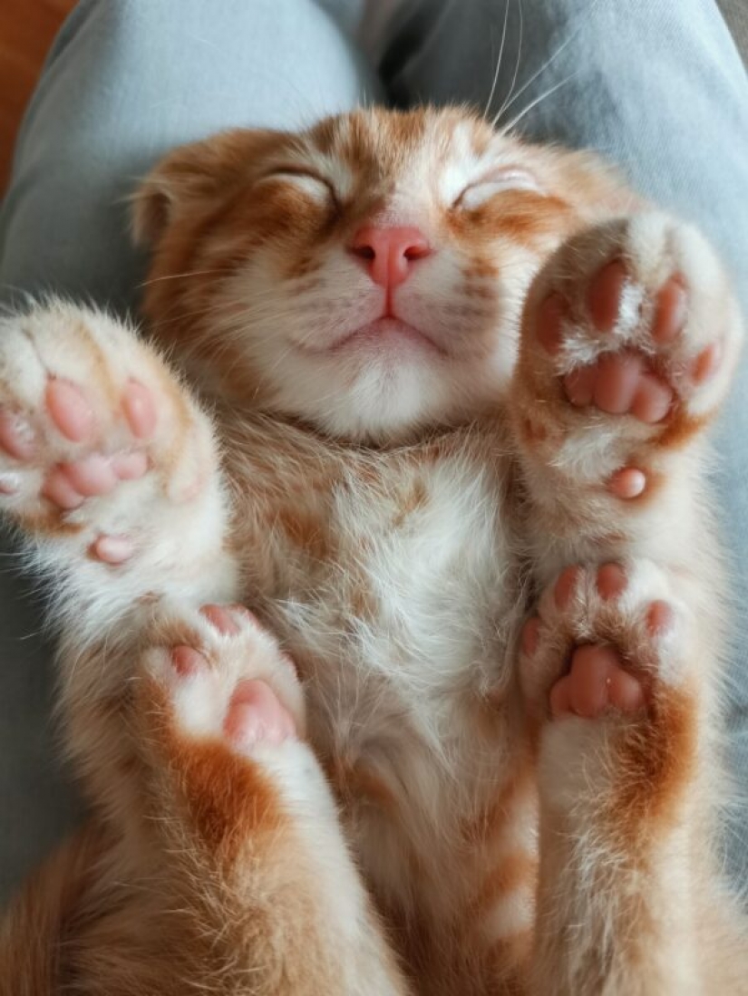 HUAWEI anuncia los resultados de la competición de la Próxima 2020 Imagen de Premios en Rusia