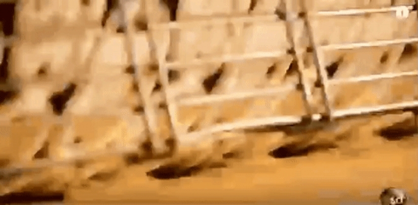 Hypnotizing and incredibly nice looking gifs about how to make food