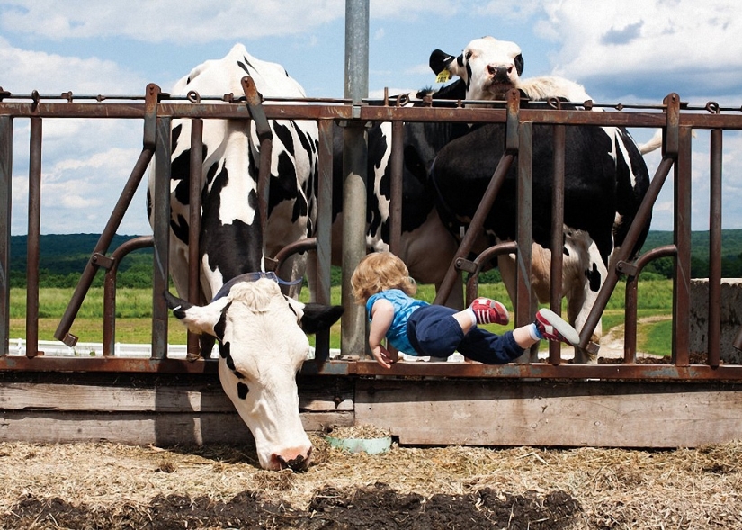 If the children flew: positive sequence bored on maternity leave Rachel Gulin If the children flew: positive sequence bored on maternity leave Rachel Gulin