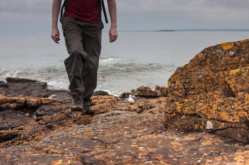 If you have no time, then here are 36 cool ways to burn maximum amount of calories in 1 hour If you have no time, then here are 36 cool ways to burn maximum amount of calories in 1 hour