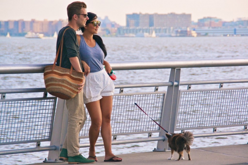 If you have no time, then here are 36 cool ways to burn maximum amount of calories in 1 hour If you have no time, then here are 36 cool ways to burn maximum amount of calories in 1 hour