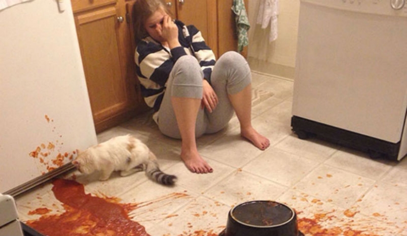 Imágenes de la épica fallos que demostrar que han resultado ser un gran lunes