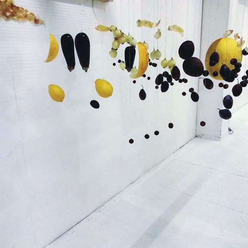 Impresionantes imágenes de los alimentos que se abren sólo en un cierto ángulo