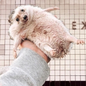 "Ina", "Ilkovskaya" y otras estaciones del metro de Moscú, que nadie sabe