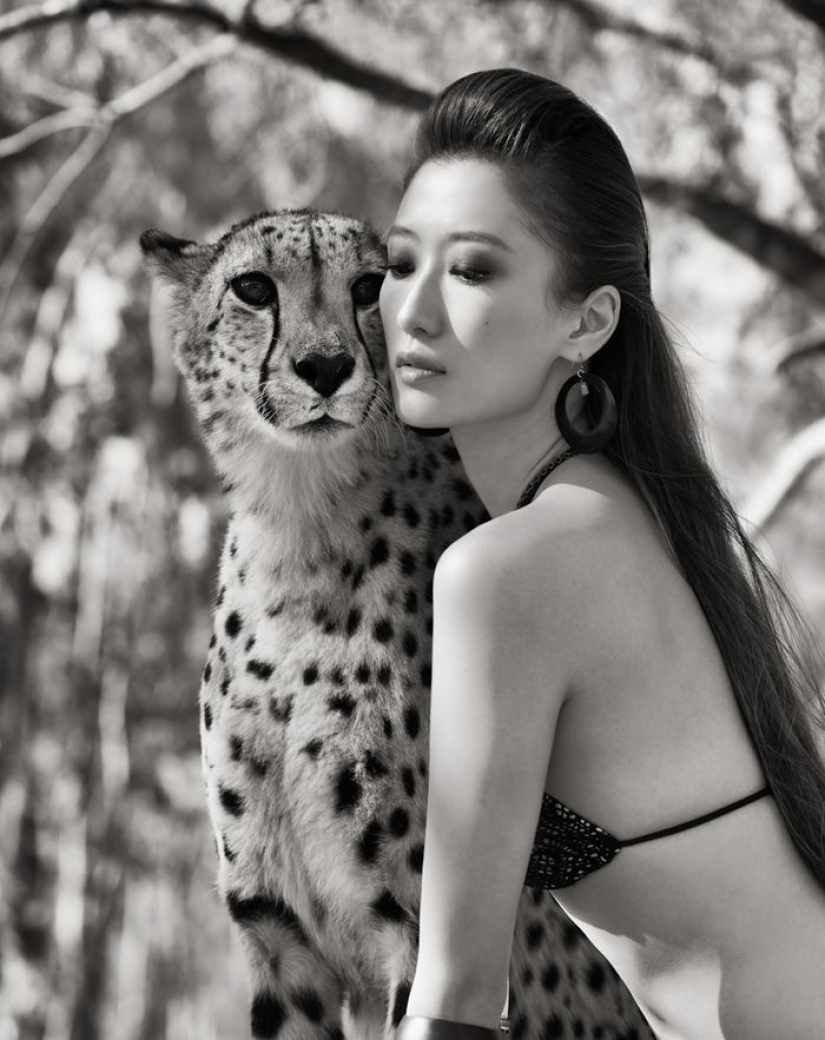 Increíbles retratos de los modelos de Asia y celebridades con animales salvajes Increíbles retratos de los modelos de Asia y celebridades con animales salvajes