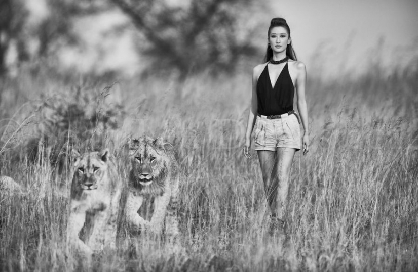 Increíbles retratos de los modelos de Asia y celebridades con animales salvajes Increíbles retratos de los modelos de Asia y celebridades con animales salvajes