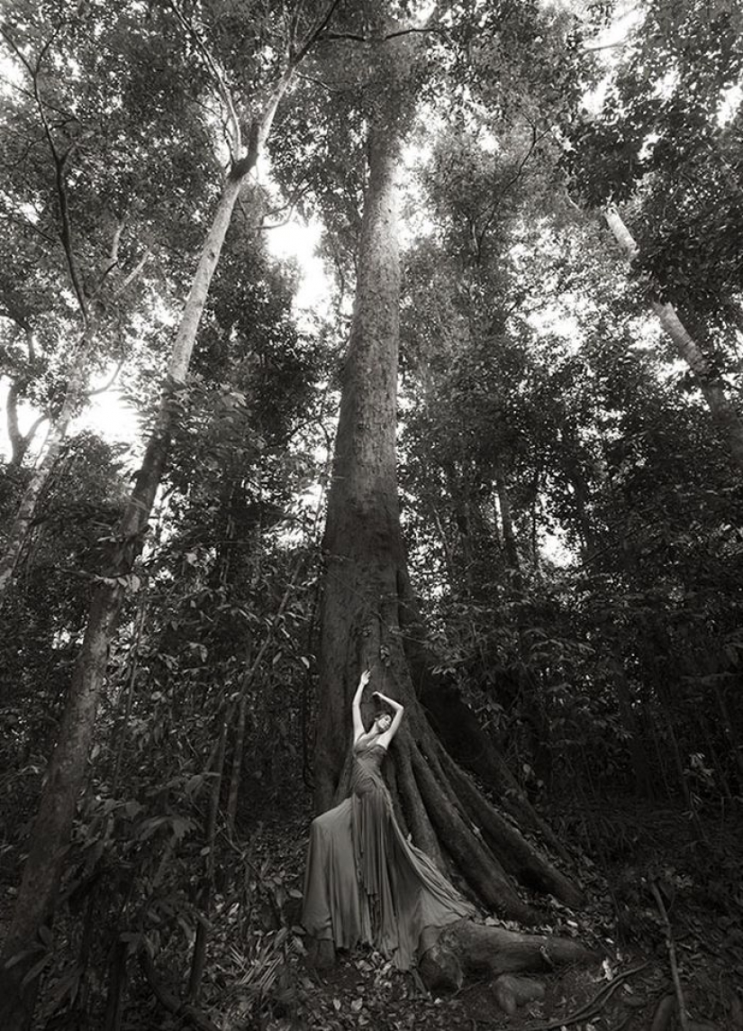 Increíbles retratos de los modelos de Asia y celebridades con animales salvajes Increíbles retratos de los modelos de Asia y celebridades con animales salvajes