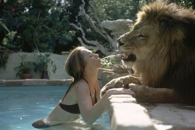 Incredible photos from the ' 70s: Melanie Griffith and lion Neil Incredible photos from the ' 70s: Melanie Griffith and lion Neil