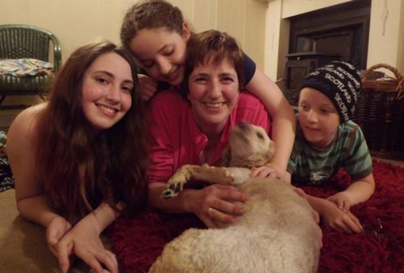 Ingeniosos gigolo años a seducir a las mujeres, haciéndose pasar por un agente de la CIA Ingeniosos gigolo años a seducir a las mujeres, haciéndose pasar por un agente de la CIA