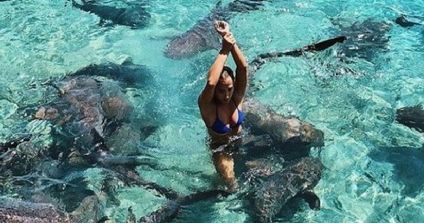Instagram-la modelo subió en la piscina con los tiburones por el bien de los que le gusta y casi pierdo mi mano Instagram-la modelo subió en la piscina con los tiburones por el bien de los que le gusta y casi pierdo mi mano