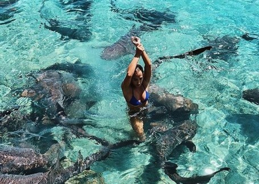 Instagram-la modelo subió en la piscina con los tiburones por el bien de los que le gusta y casi pierdo mi mano Instagram-la modelo subió en la piscina con los tiburones por el bien de los que le gusta y casi pierdo mi mano