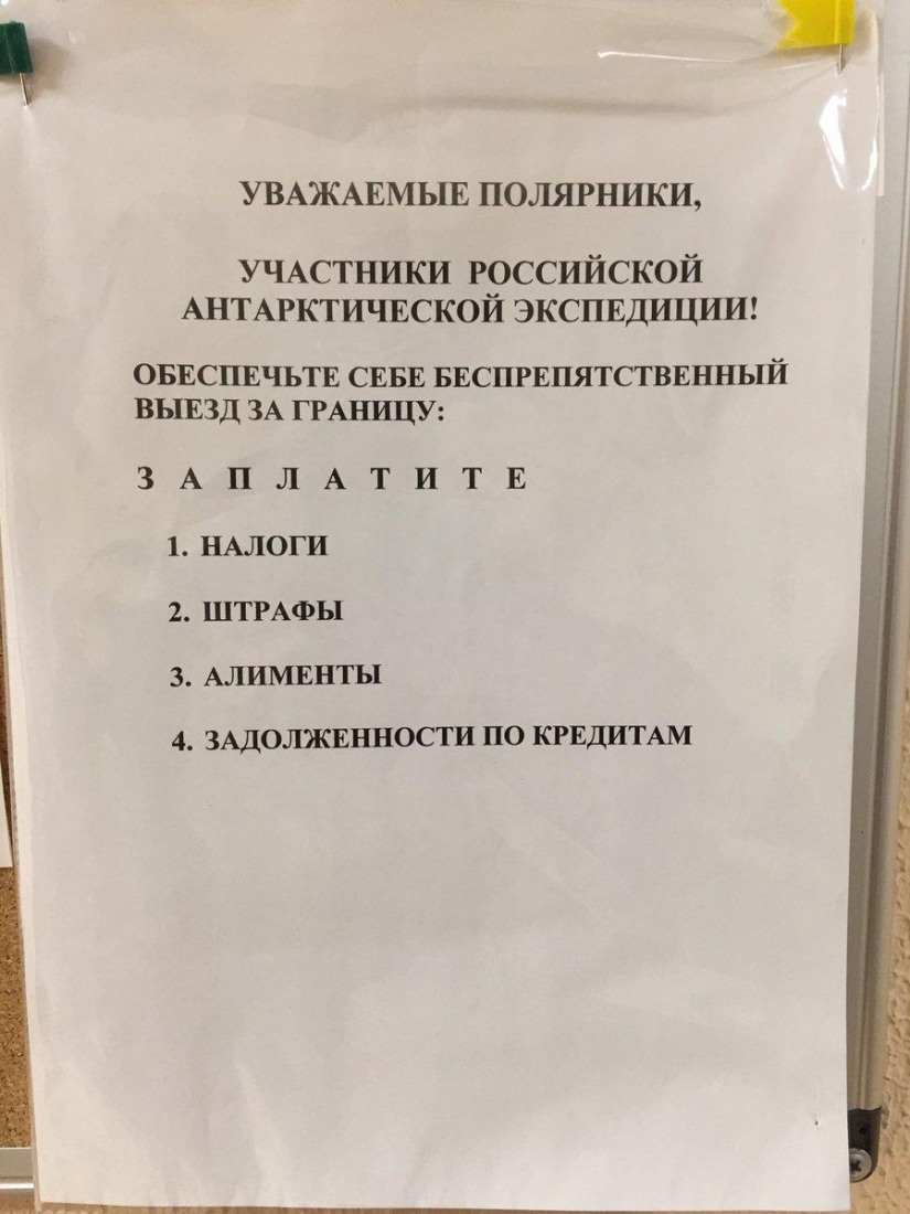 Instrucciones detalladas: cómo conseguir una expedición polar a la Antártida