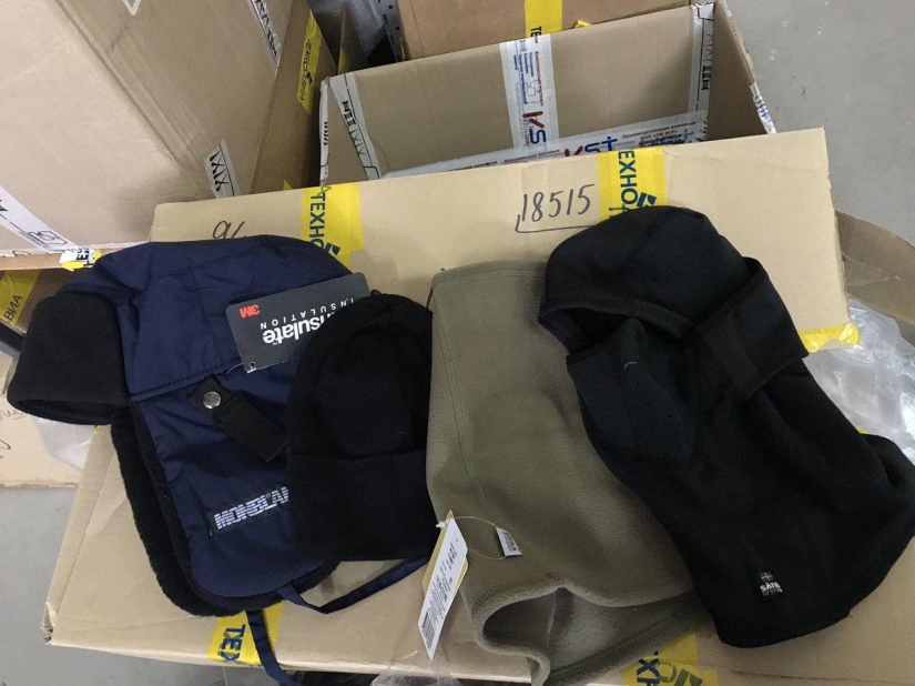 Instrucciones detalladas: cómo conseguir una expedición polar a la Antártida