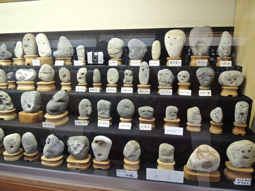 Japanese Museum Tinsukia collects stones, which look like faces Japanese Museum Tinsukia collects stones, which look like faces