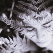 Joven genio de la fotografía se ve en el alma a través de la lente