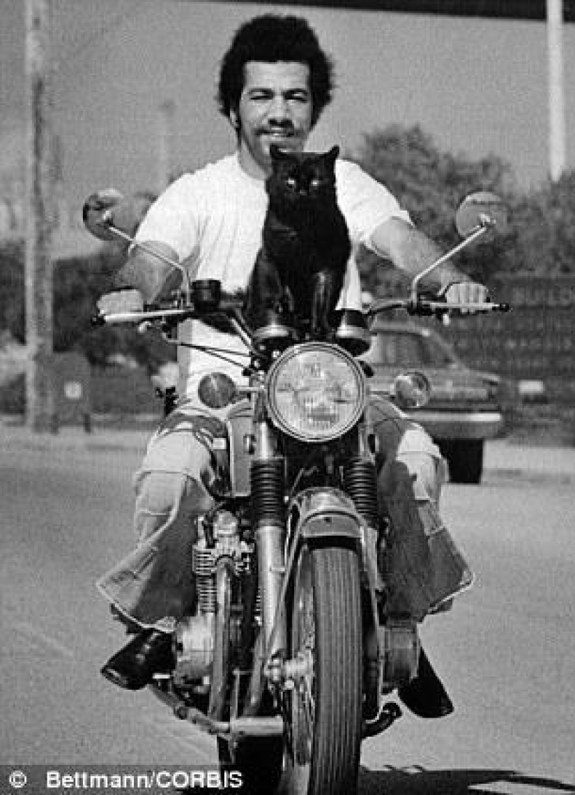 Kote "pre-Internet" period