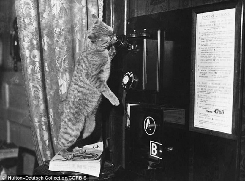 Kote "pre-Internet" period