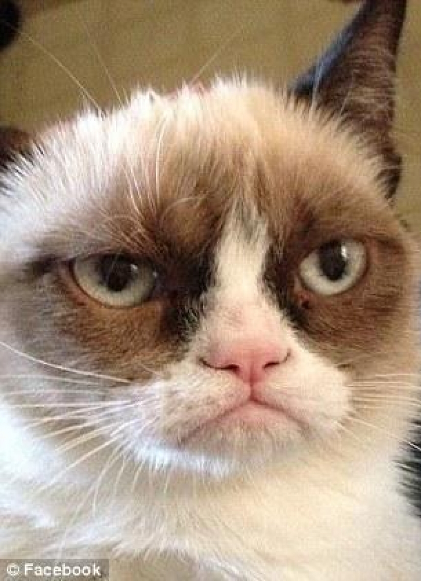 Kote "pre-Internet" period