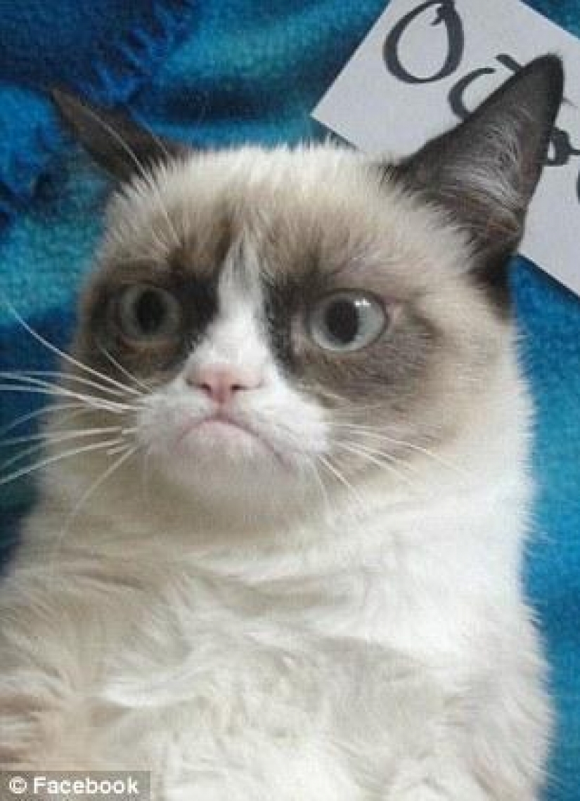 Kote "pre-Internet" período de