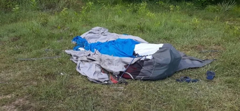 La batalla desigual: wild Explorer para sobrevivir al ataque de un león hambriento en Botswana