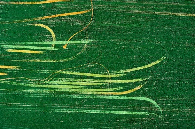 La belleza de nuestro mundo