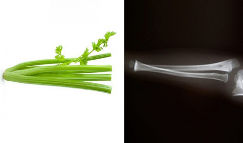 La comida es útil para esa parte del cuerpo, que es similar La comida es útil para esa parte del cuerpo, que es similar