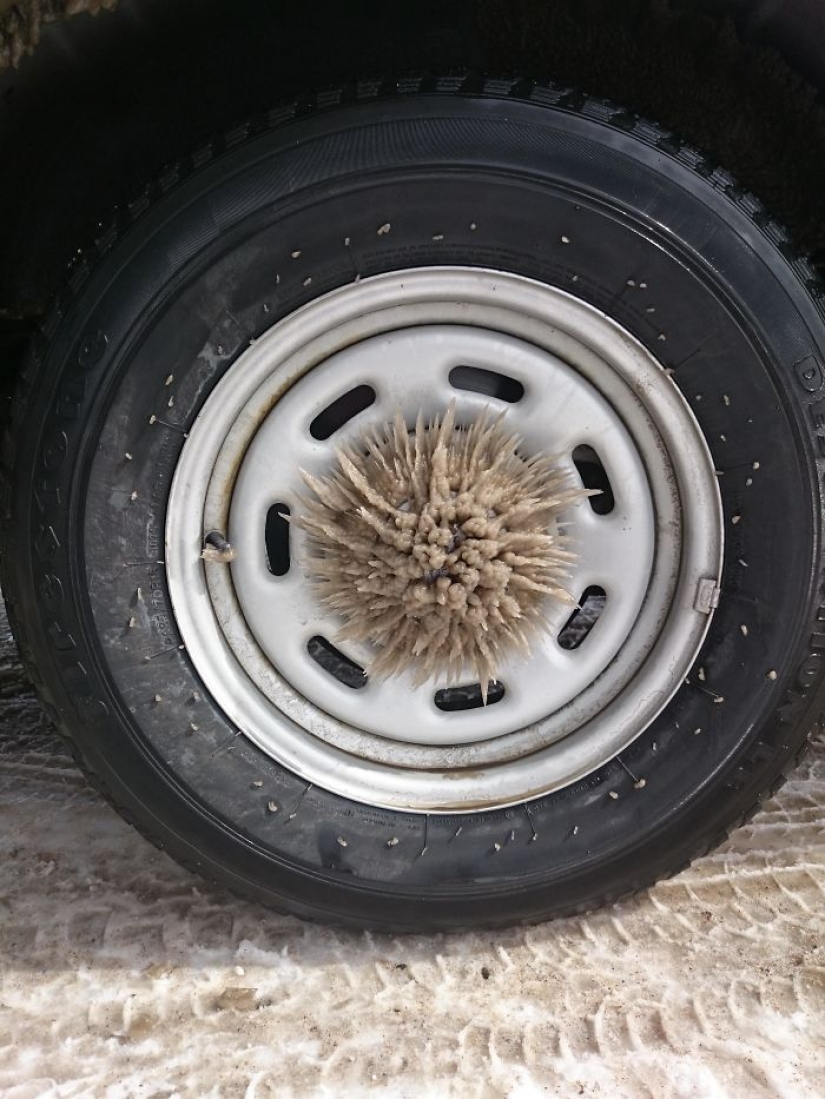 La escarcha se convierte el coche en el arte